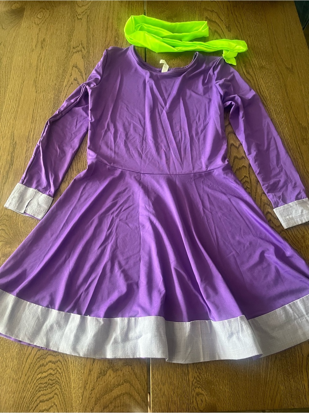 Ladies Homemade Scooby Doo Daphne Halloween Costume
